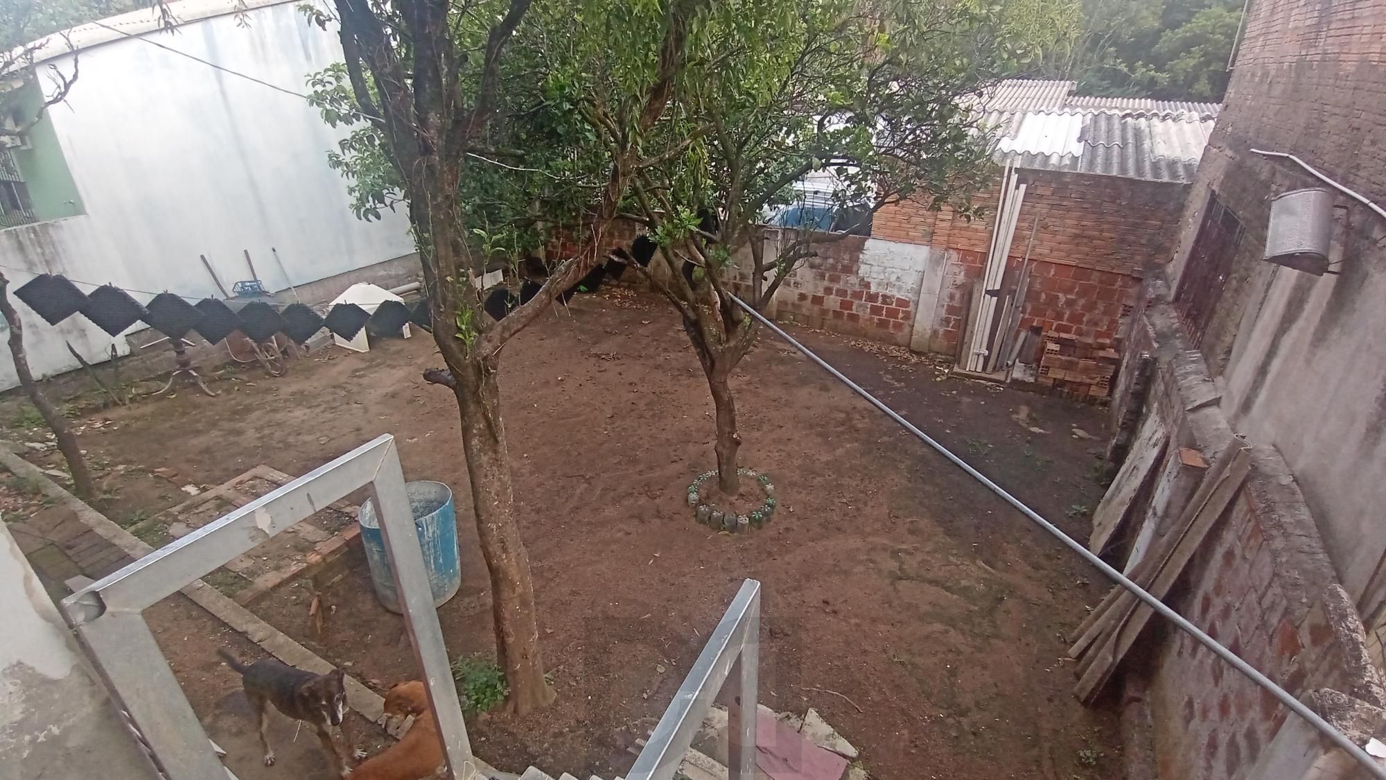 Casa com 2 dormitórios no bairro Glória — foto 21