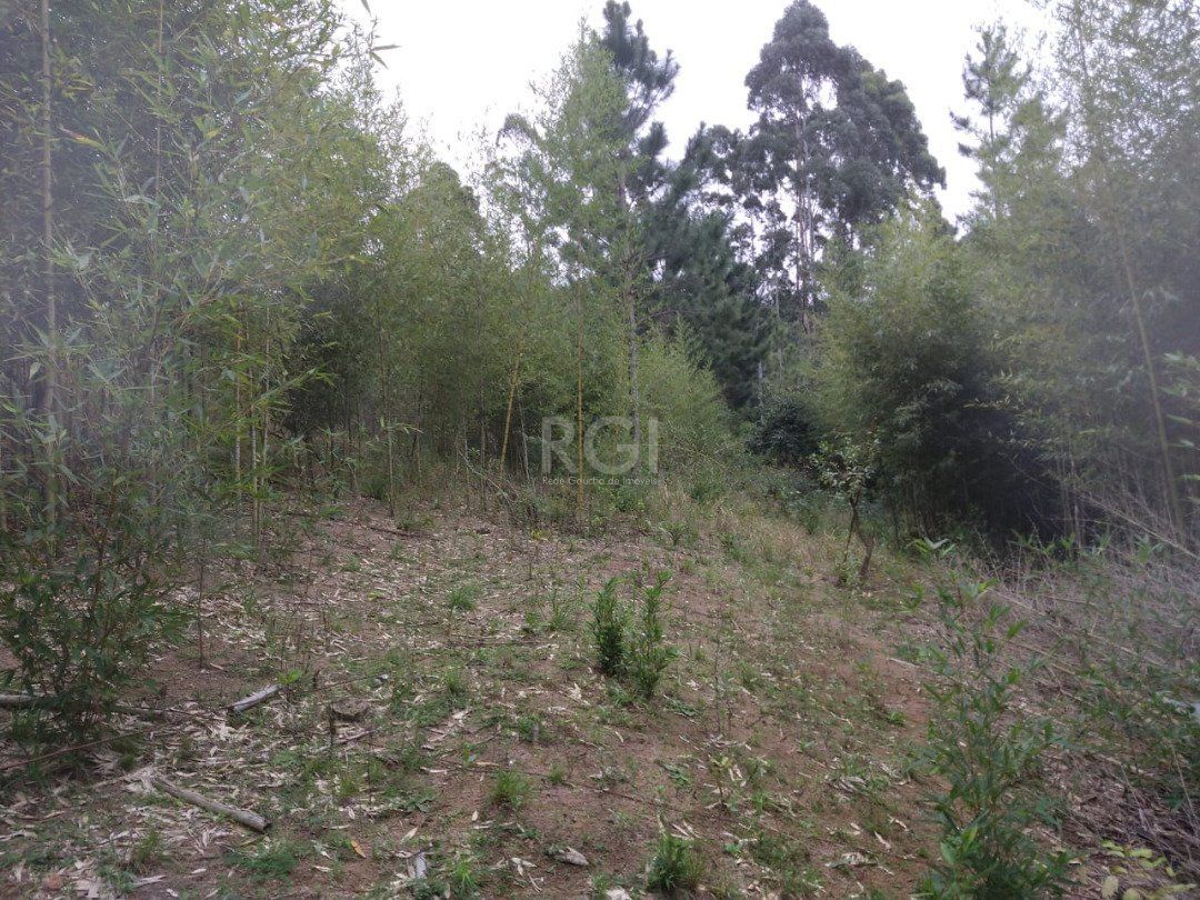 Área para Venda - 11,39ha, bairro Belém Velho — foto 11