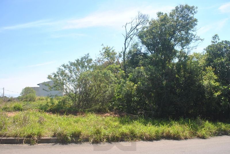 Terreno para Venda  com 930m² no bairro Espírito Santo — foto 6