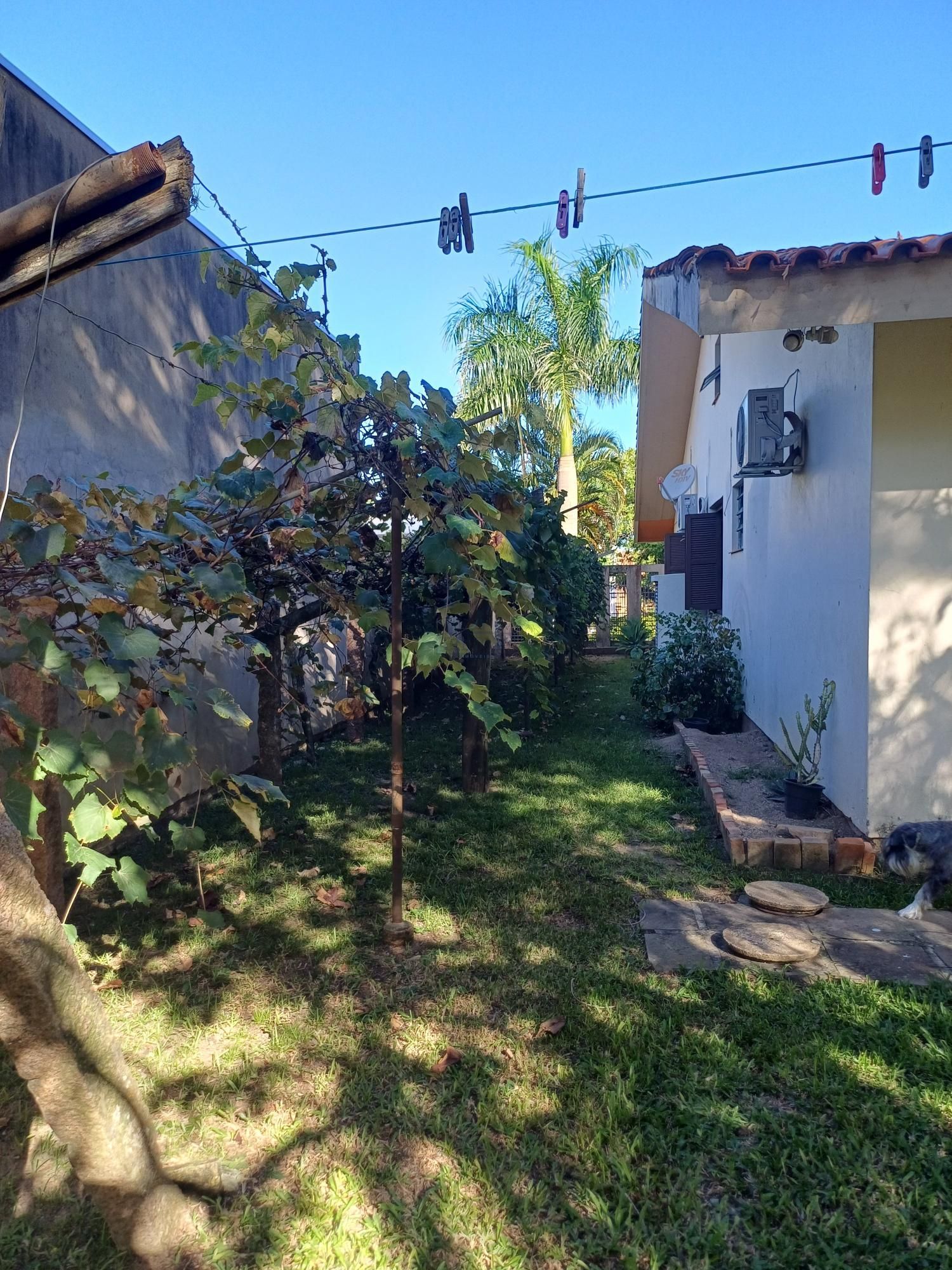 CASA TÉRREA ! — foto 27