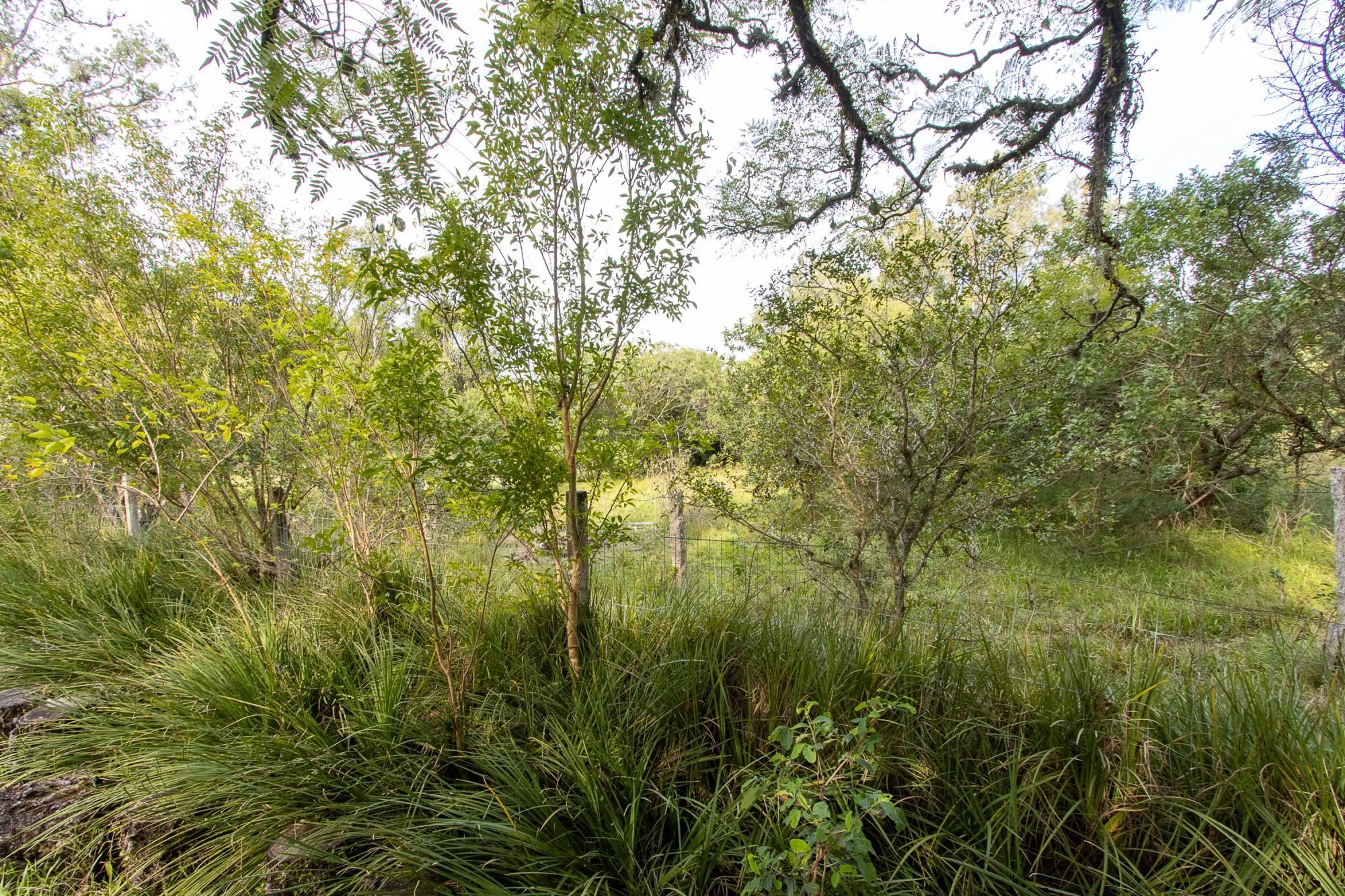 Área medindo 33.426m²! — foto 42