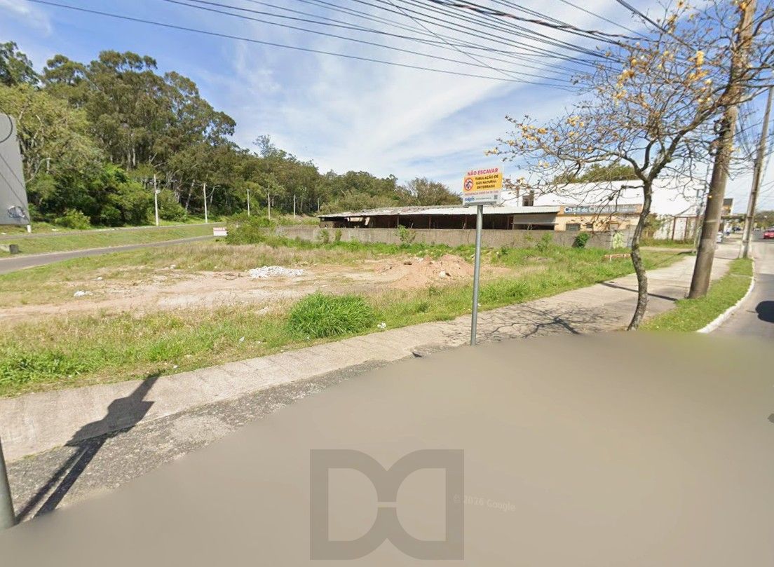 — foto 3