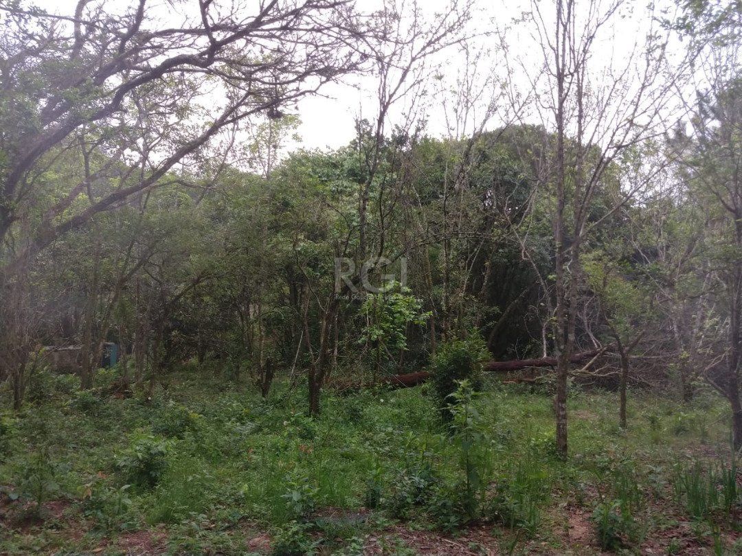 Área para Venda - 11,39ha, bairro Belém Velho — foto 8