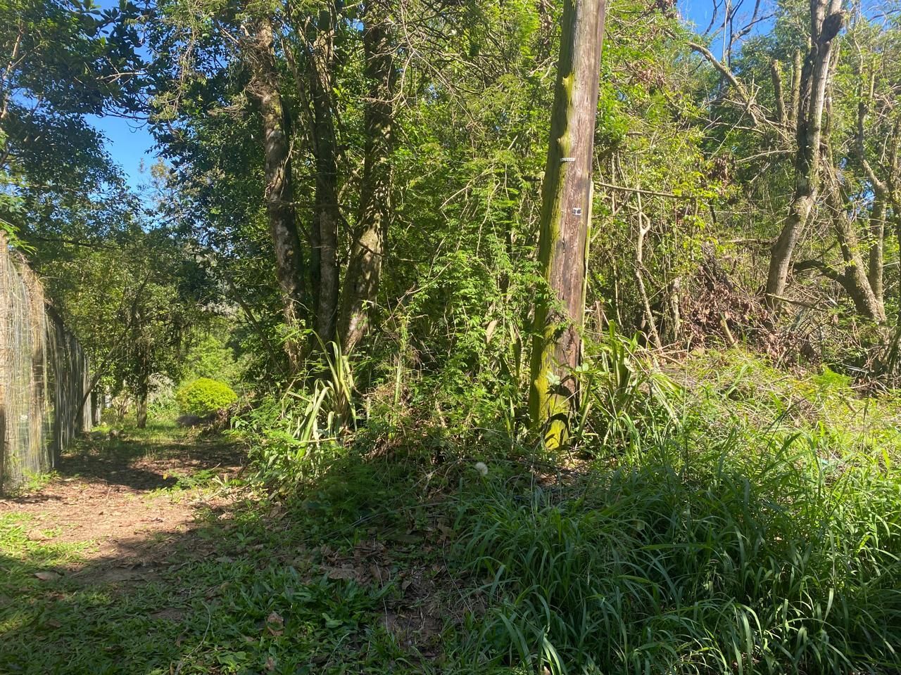 Excelente terreno! — foto 28