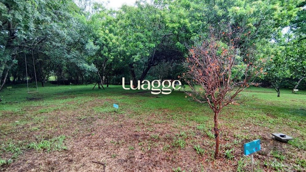 Terreno com 126m² - Ilha Verde Nova Ipanema - Bairro Campo Novo — foto 6