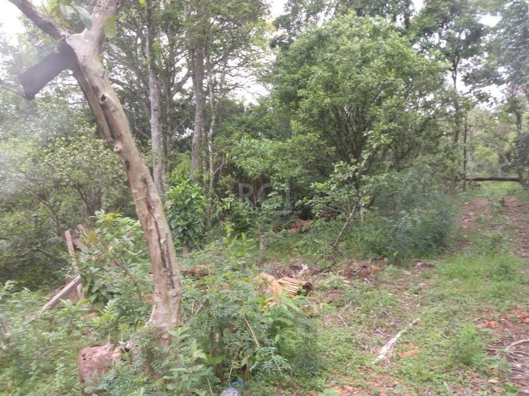 Área para Venda - 11,39ha, bairro Belém Velho — foto 14