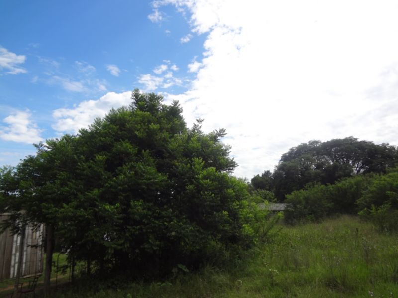 Terreno para Venda - 0m², 0 dormitórios, Lami — foto 7