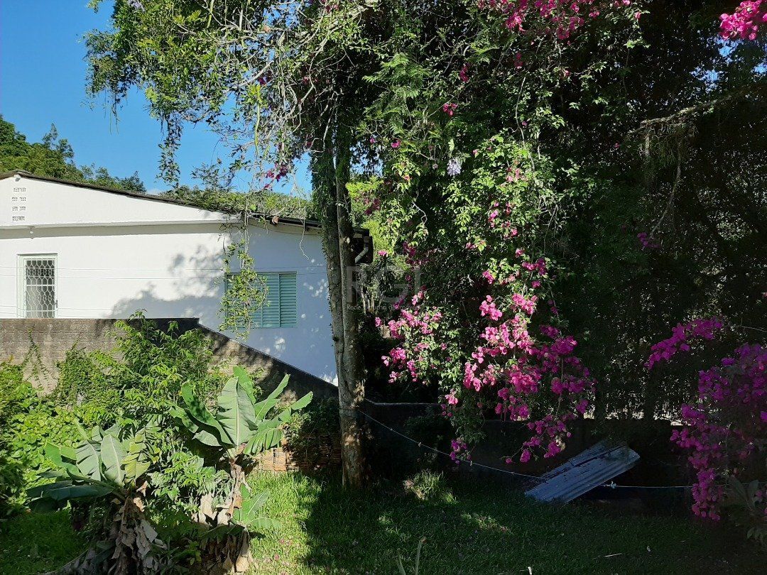 Terreno para Venda - 3800m², 0 dormitórios, Belém Novo — foto 3