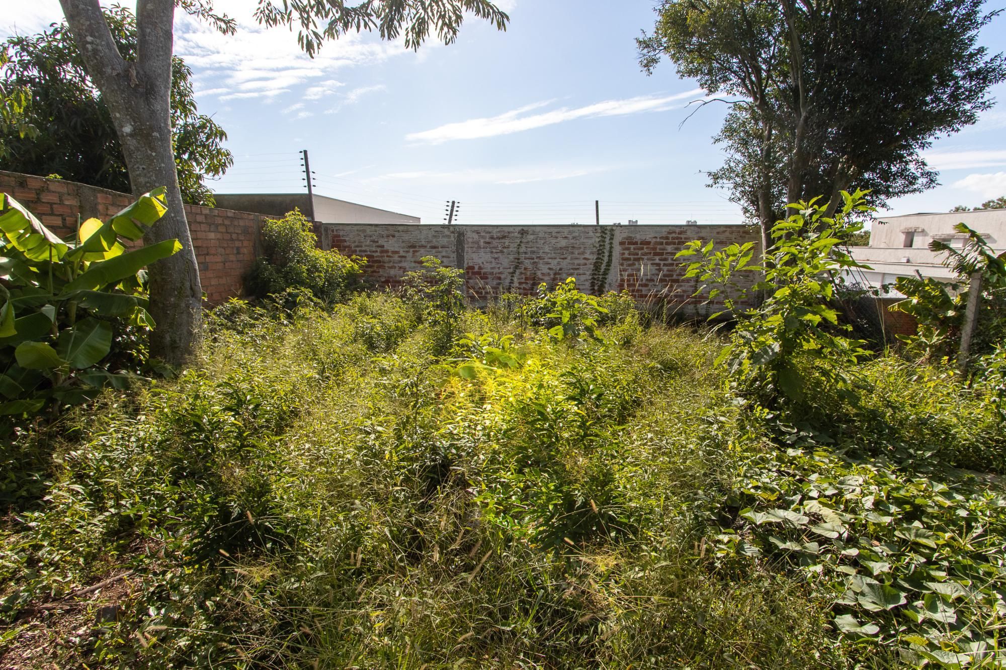 Casa de 3 dormitórios, 1 suíte e 2 vagas no bairro Vila Conceição. — foto 3
