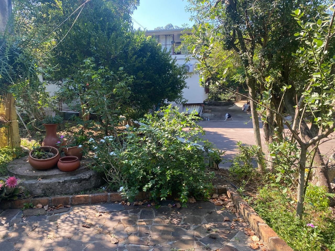 — foto 21