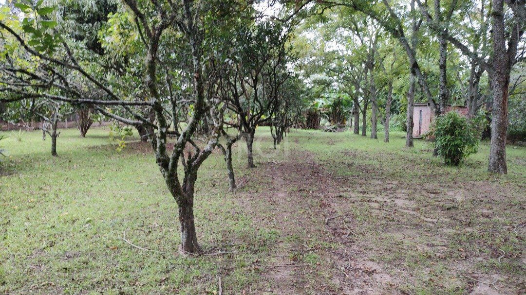 Sitio à venda no Lami, com 2 casas térreas, com 4 quartos cada uma — foto 28