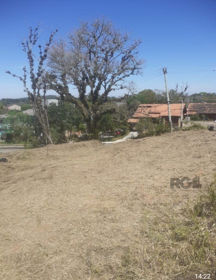 Terreno | 332,78m2 de área | Bairro Belém Novo — foto 5