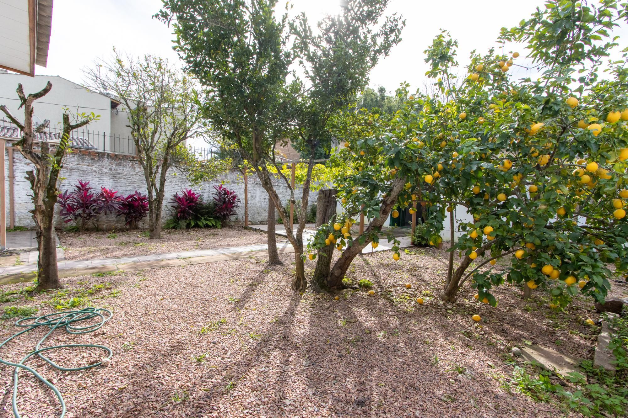 Terreno medindo 11 X 39,66 com 2 casas de alvenaria - Bairro Guarujá — foto 14