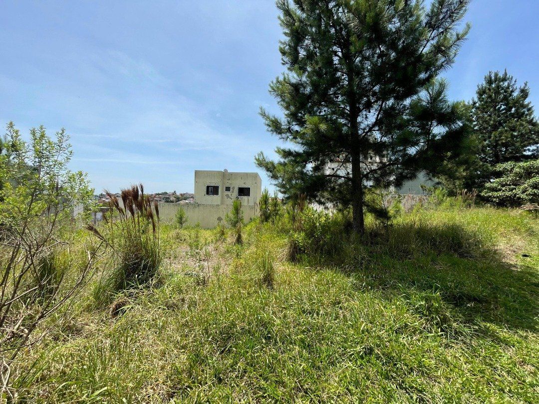 Terreno à venda no bairro Guarujá, com área total de 332,91m² — foto 5