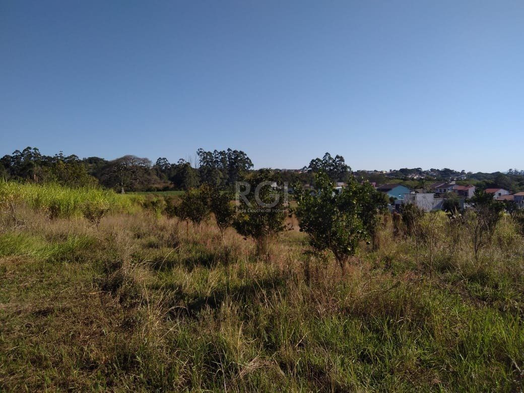 Area para Venda - 36.900m² - Campo Novo — foto 11