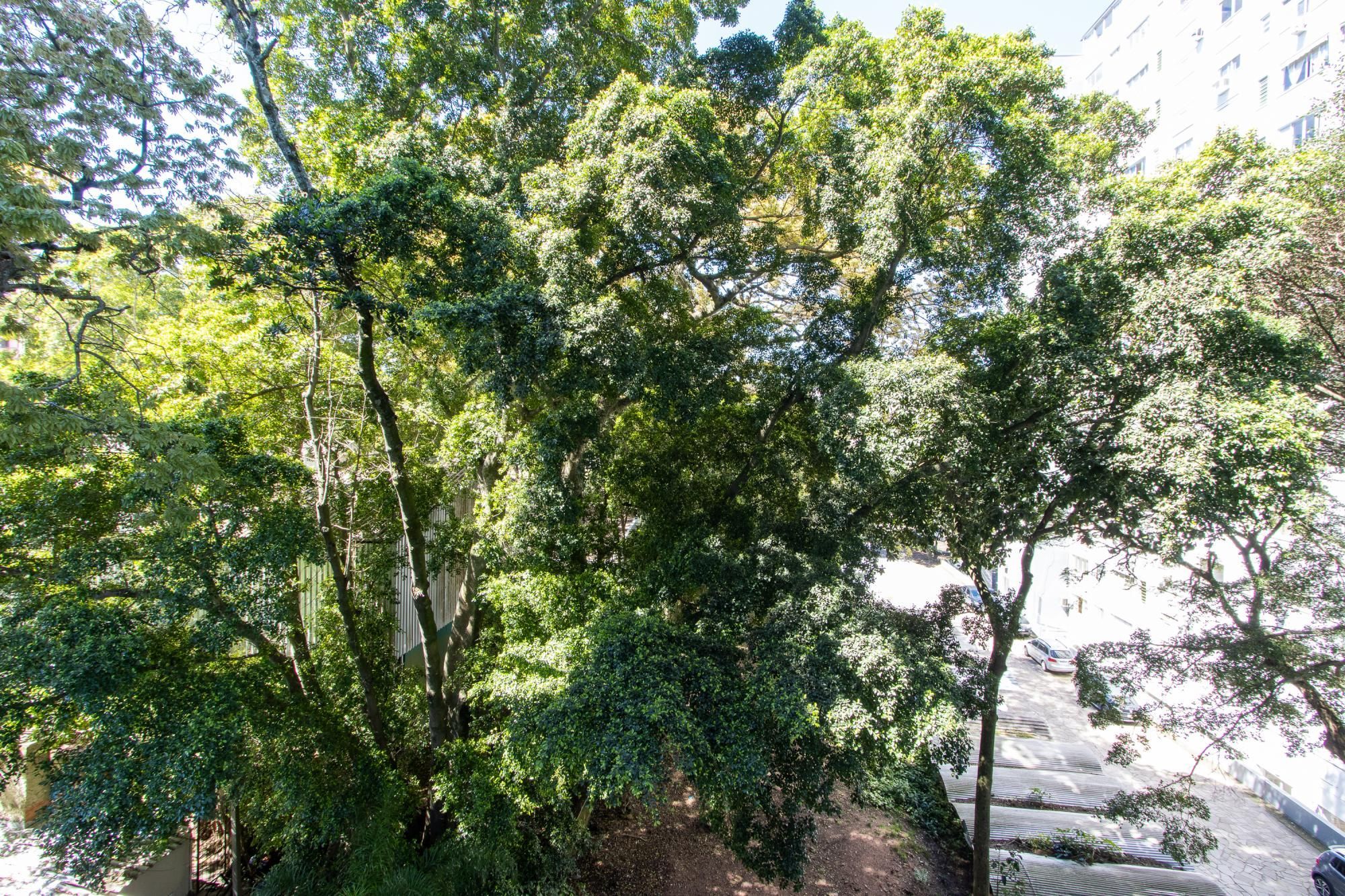 Apartamento 3 quartos, reformado, condomínio com infraestrutura - Bairro Cristal — foto 13