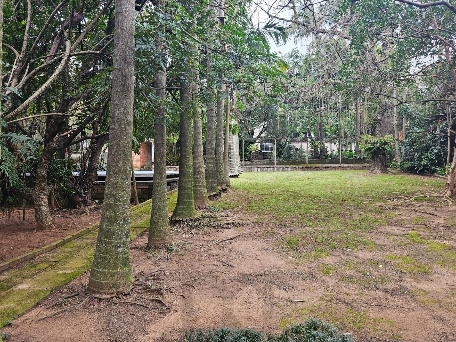 Terreno próprio para construção de condomínio de casas ou apartamentos — foto 3
