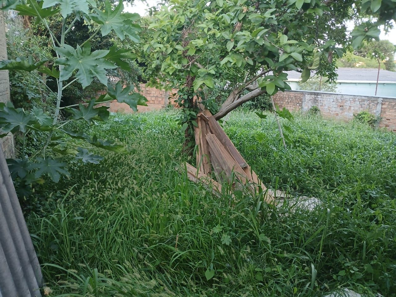 — foto 3