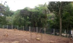 Terreno com 949,55m² no bairro Sétimo Céu com projeto aprovado — foto 2