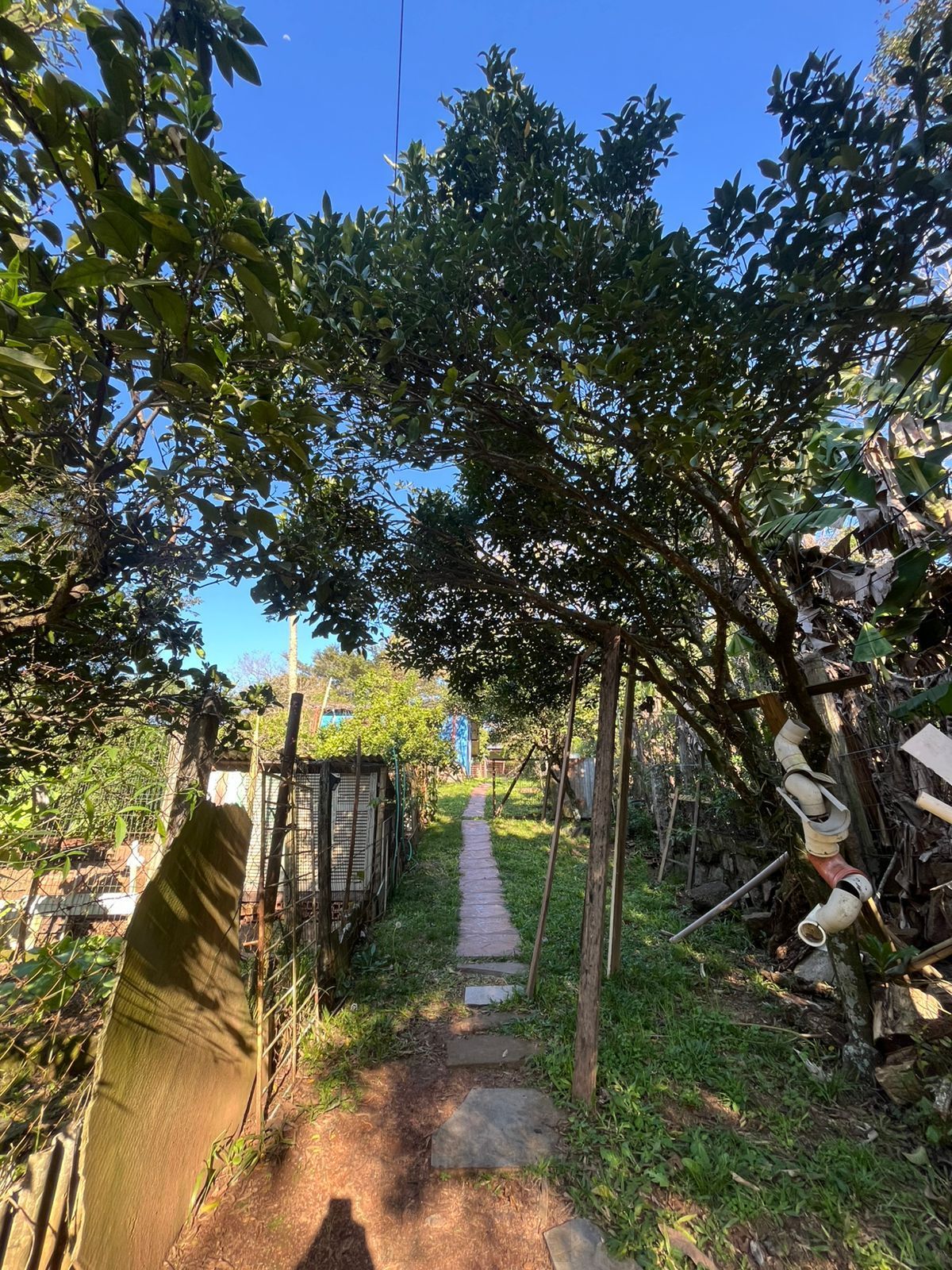Terreno Amplo com 3 Casas – Vila Nova, Porto Alegre — foto 7