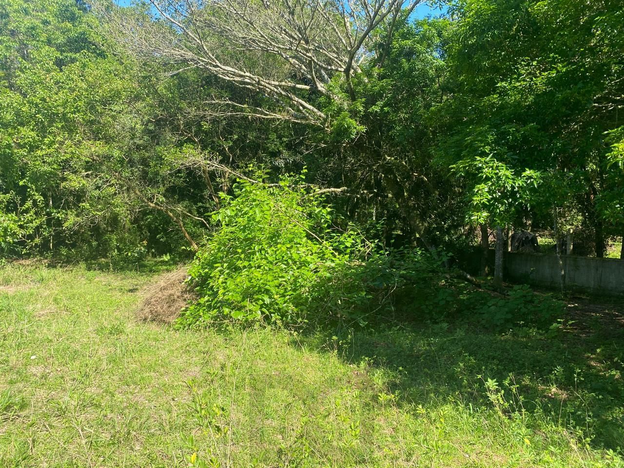 Excelente terreno! — foto 15