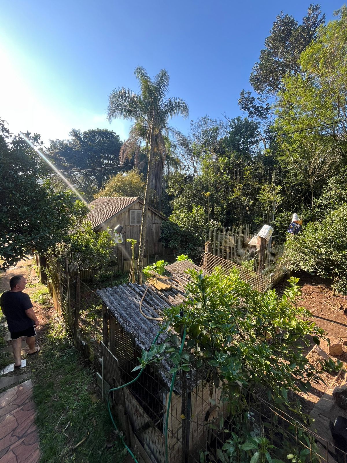Terreno Amplo com 3 Casas – Vila Nova, Porto Alegre — foto 10