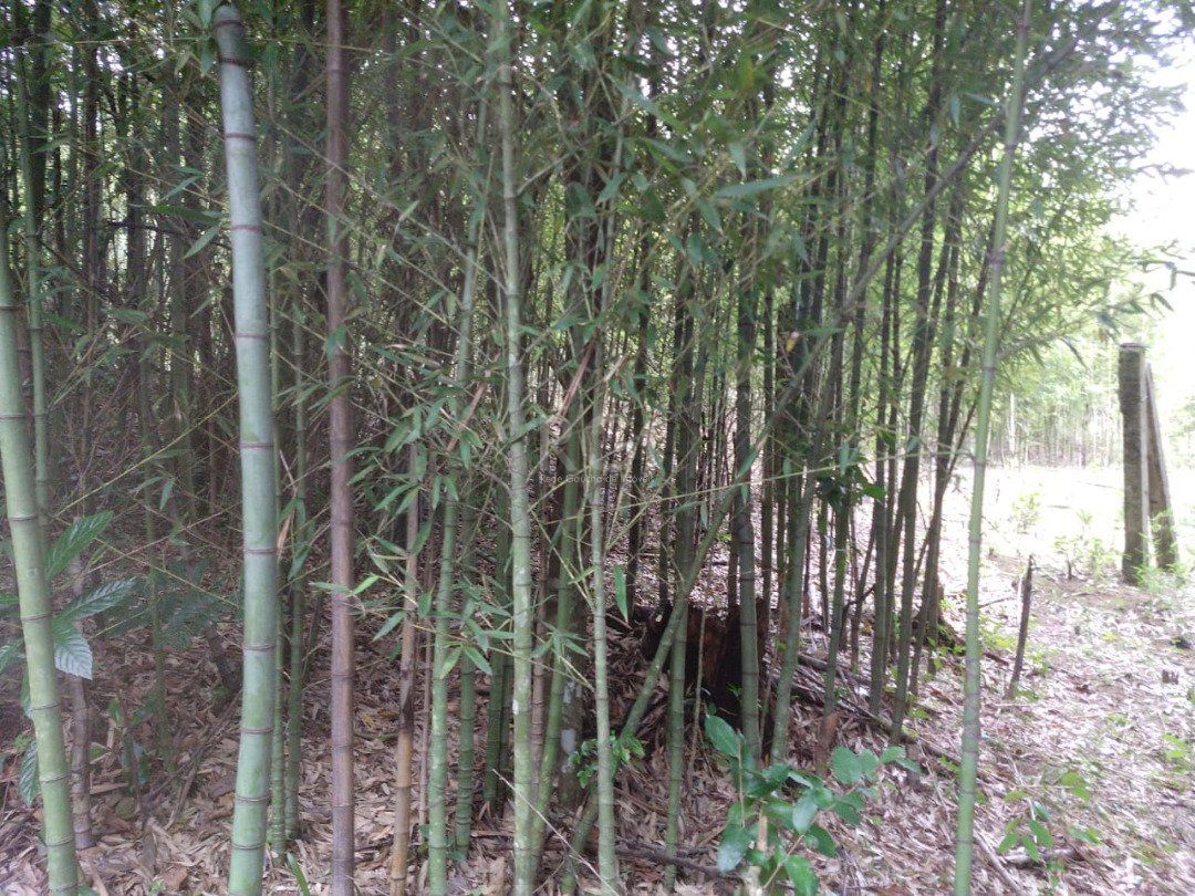 Área para Venda - 11,39ha, bairro Belém Velho — foto 16