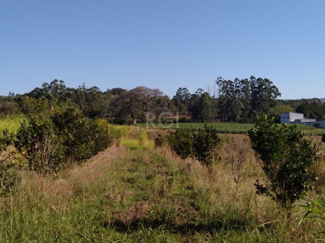 Area para Venda - 36.900m² - Campo Novo — foto 12