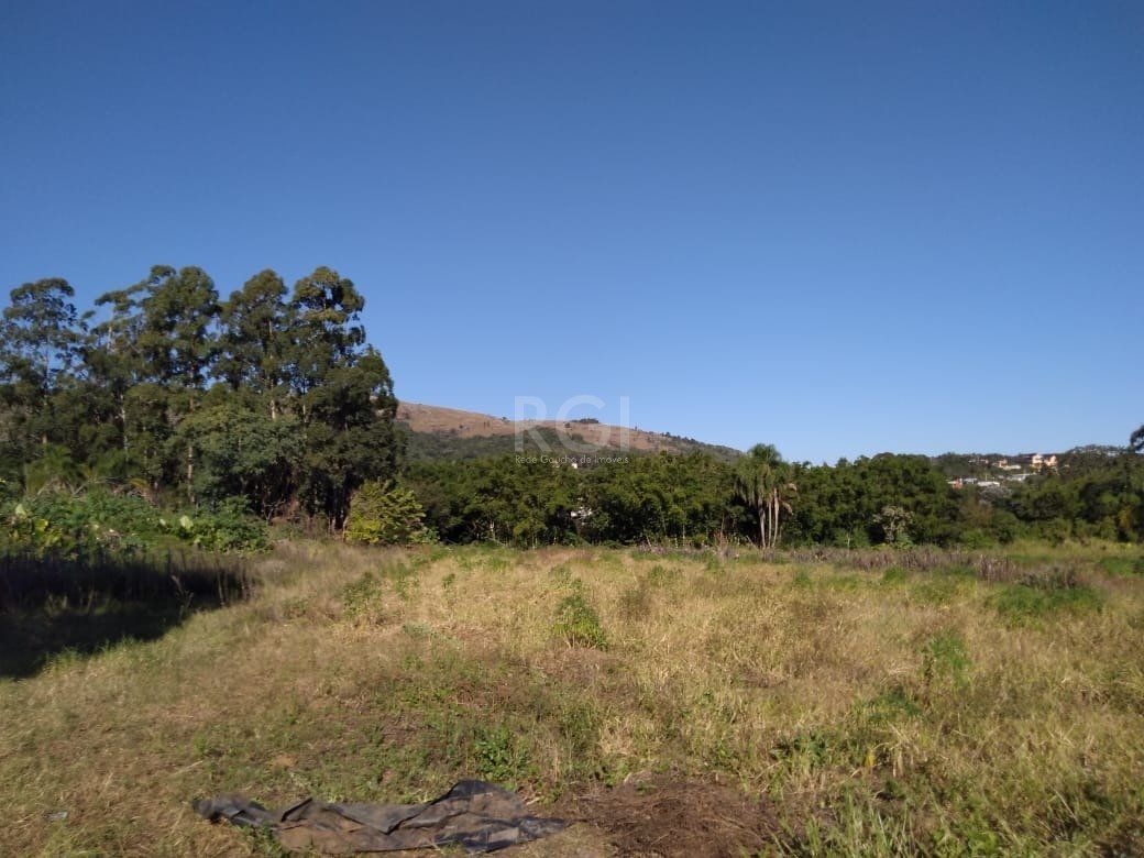 Area para Venda - 36.900m² - Campo Novo — foto 9