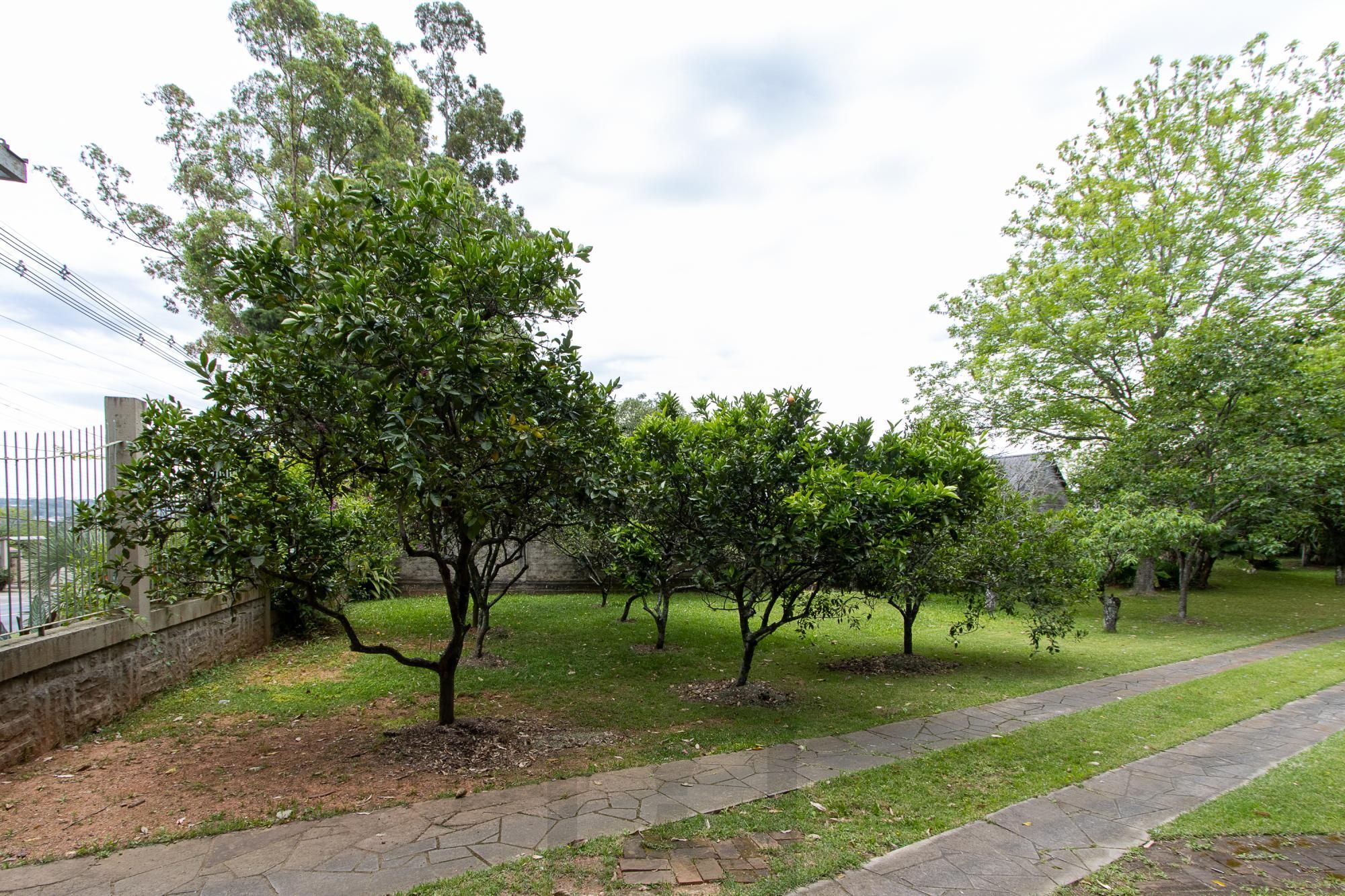 Casa térrea, nova, 3 quartos, 1 suite - Bairro Belém Velho — foto 3