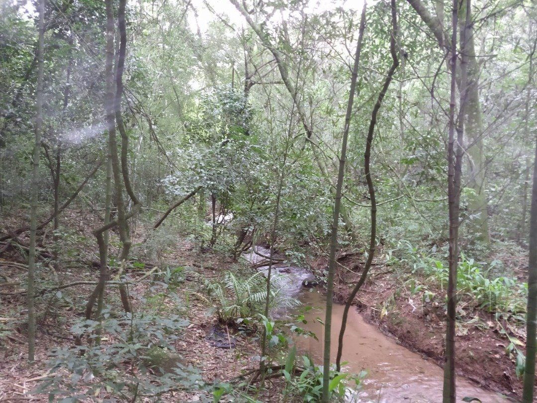 Area 6,69ha | Bairro Belem Velho — foto 14