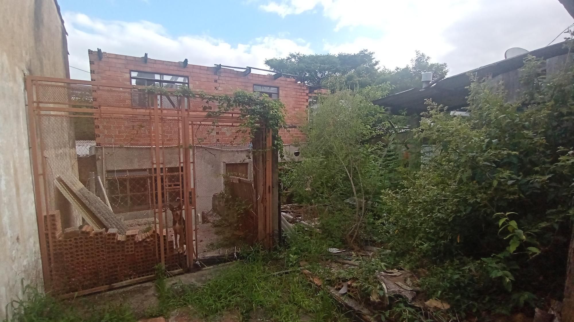 Casa com 2 dormitórios no bairro Glória — foto 2