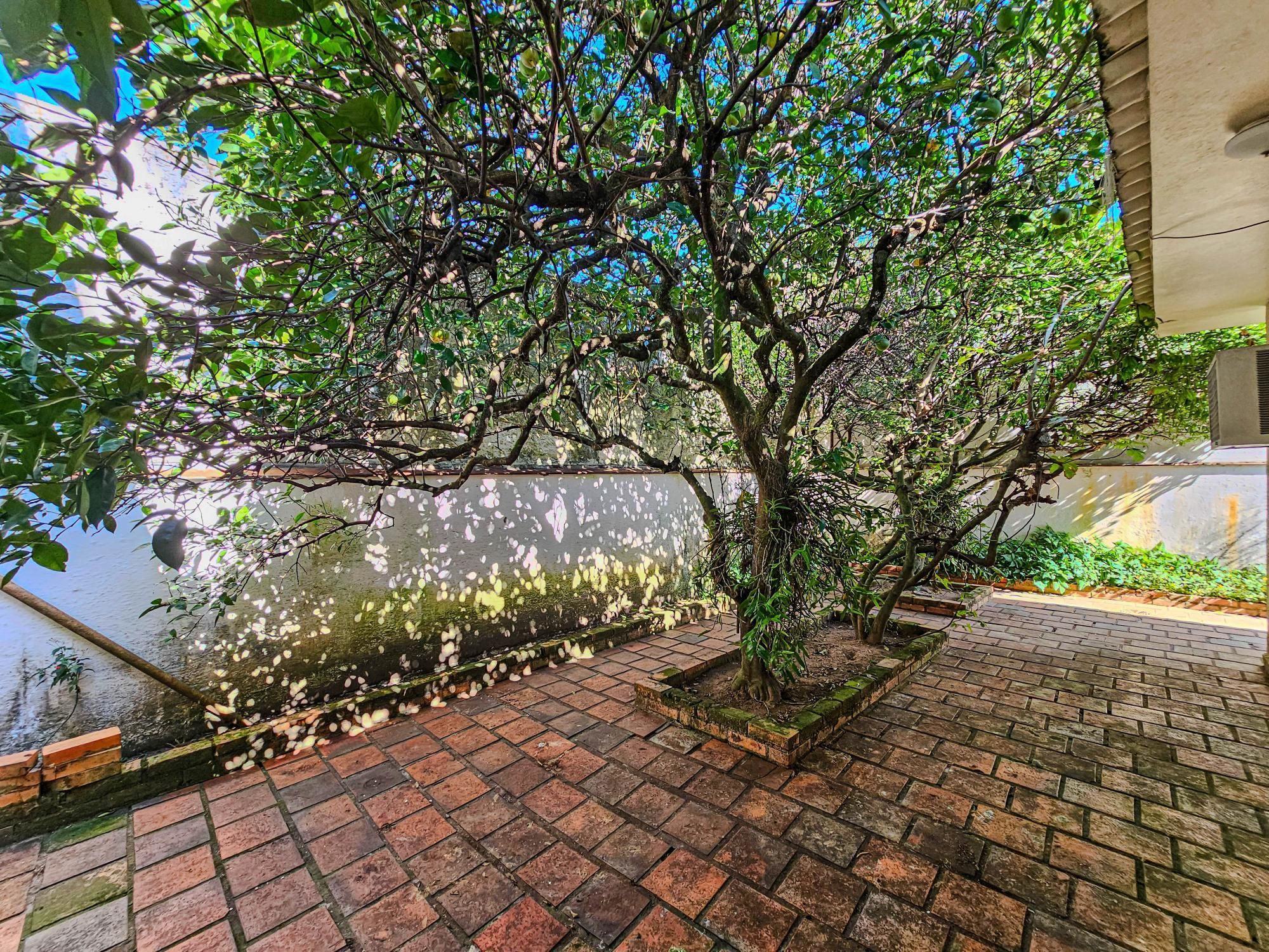 Casa Térrea 3 dormitórios - Excelentes Condições! — foto 28