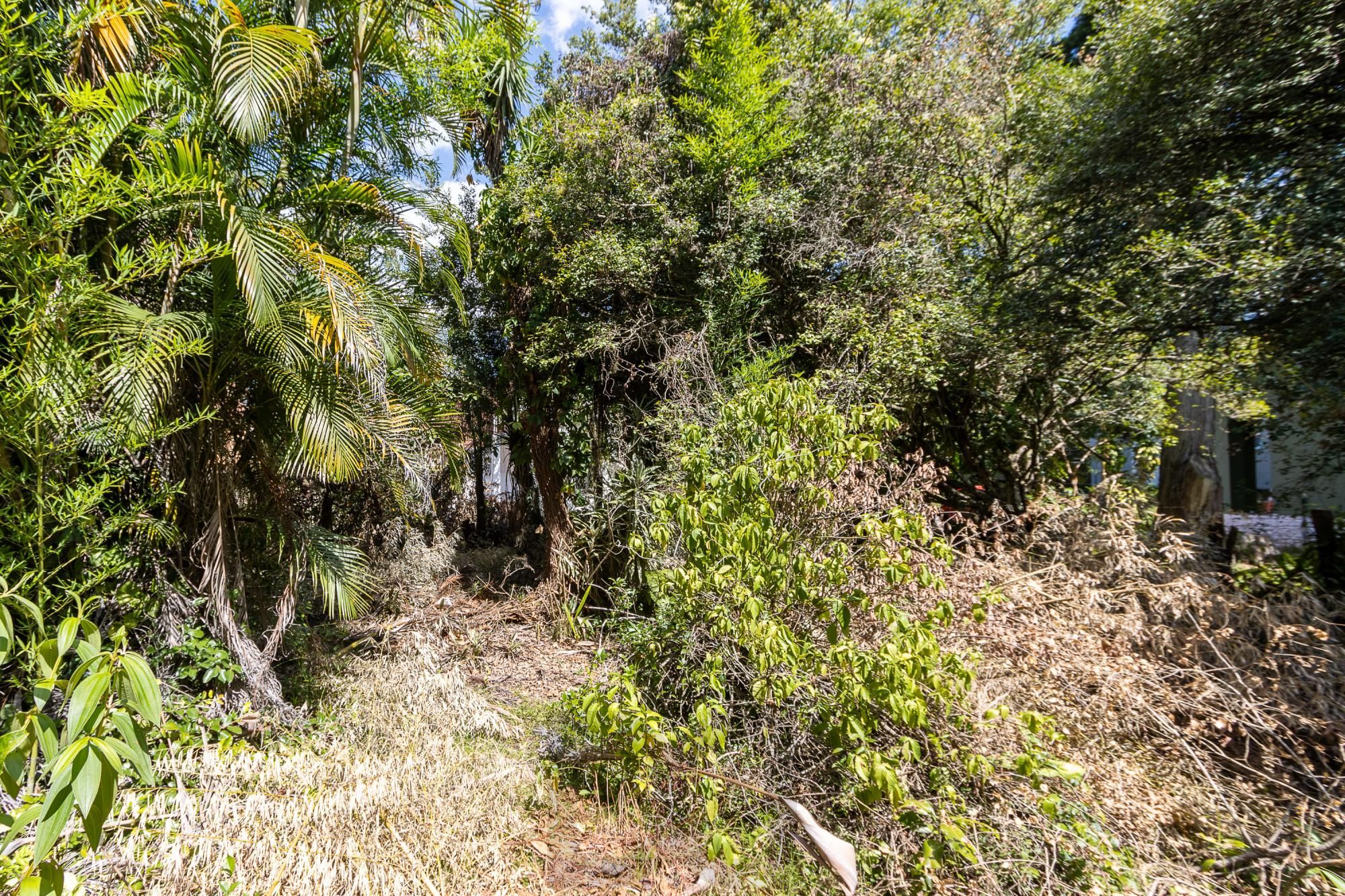 Terreno  bairro Ipanema — foto 17