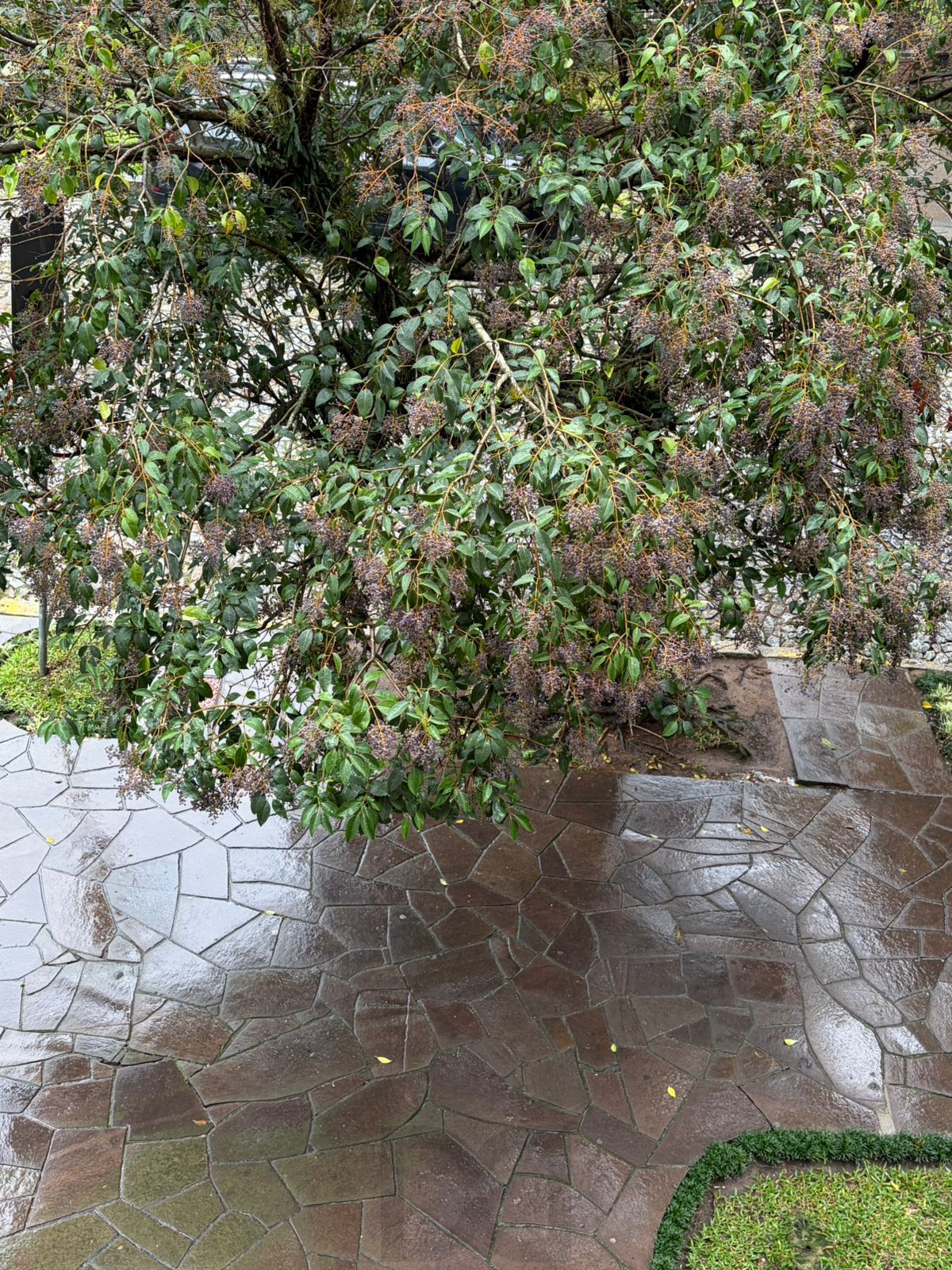Sala comercial no Petrópolis — foto 25
