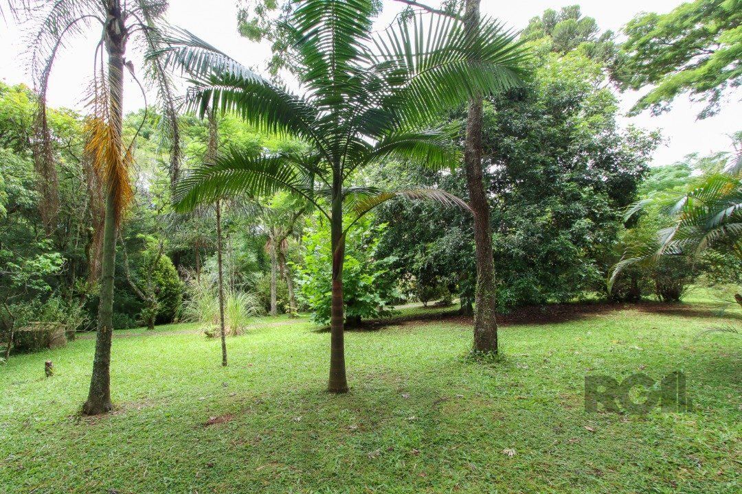 Sitio com casa com 3 quartos, suite, em terreno com 7.320m² - Belem Velho — foto 4