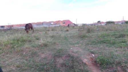 Terreno para Venda - 150m² - Aberta Dos Morros — foto 47