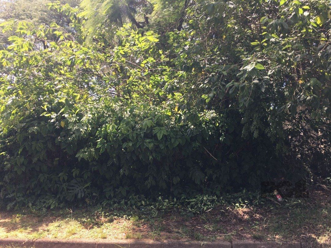 Terreno Setimo Ceu. — foto 2