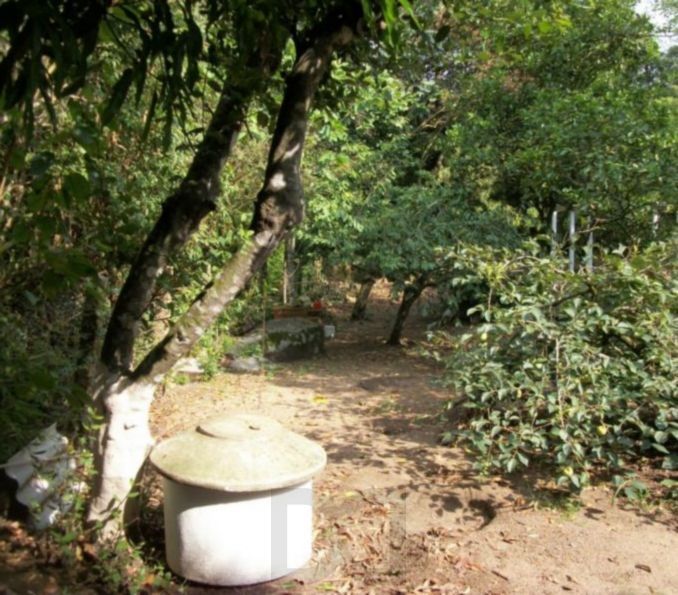 Sobrado para Venda - 800m², 3 dormitórios, Belém Novo — foto 5