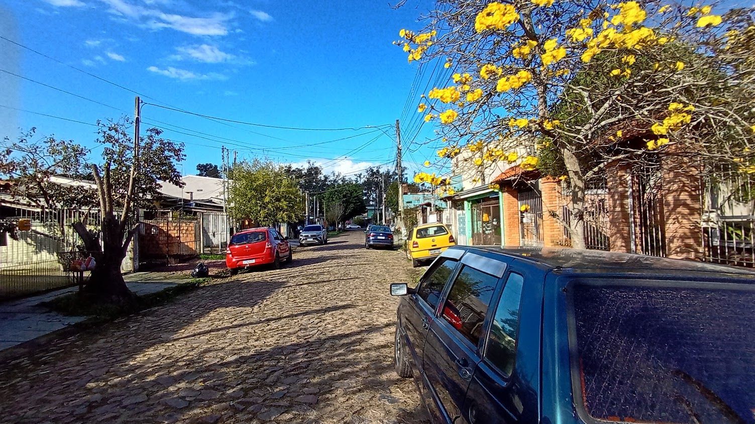 Terreno plano - bairro Hipica — foto 7