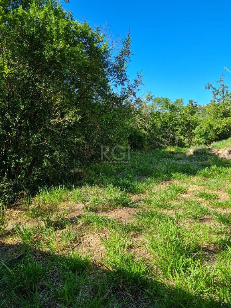 Terreno para Venda - 0m², 0 dormitórios, Vila Nova — foto 3