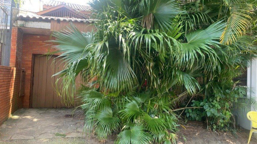 — foto 2