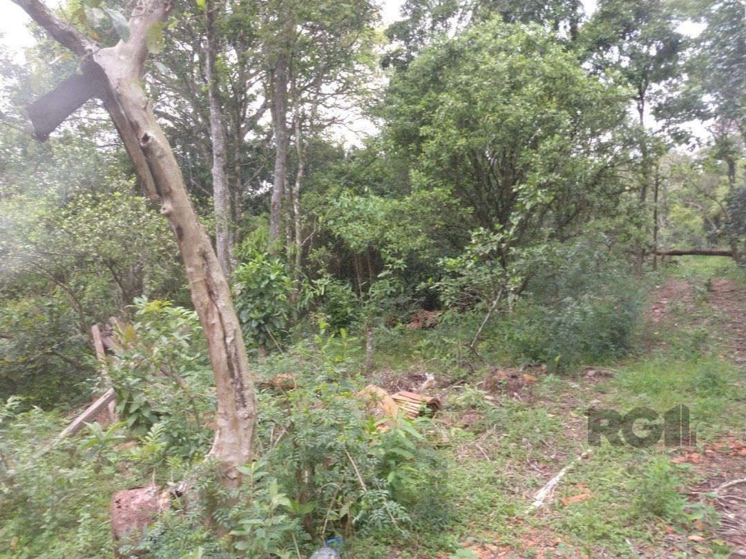 Area 6,69ha | Bairro Belem Velho — foto 11