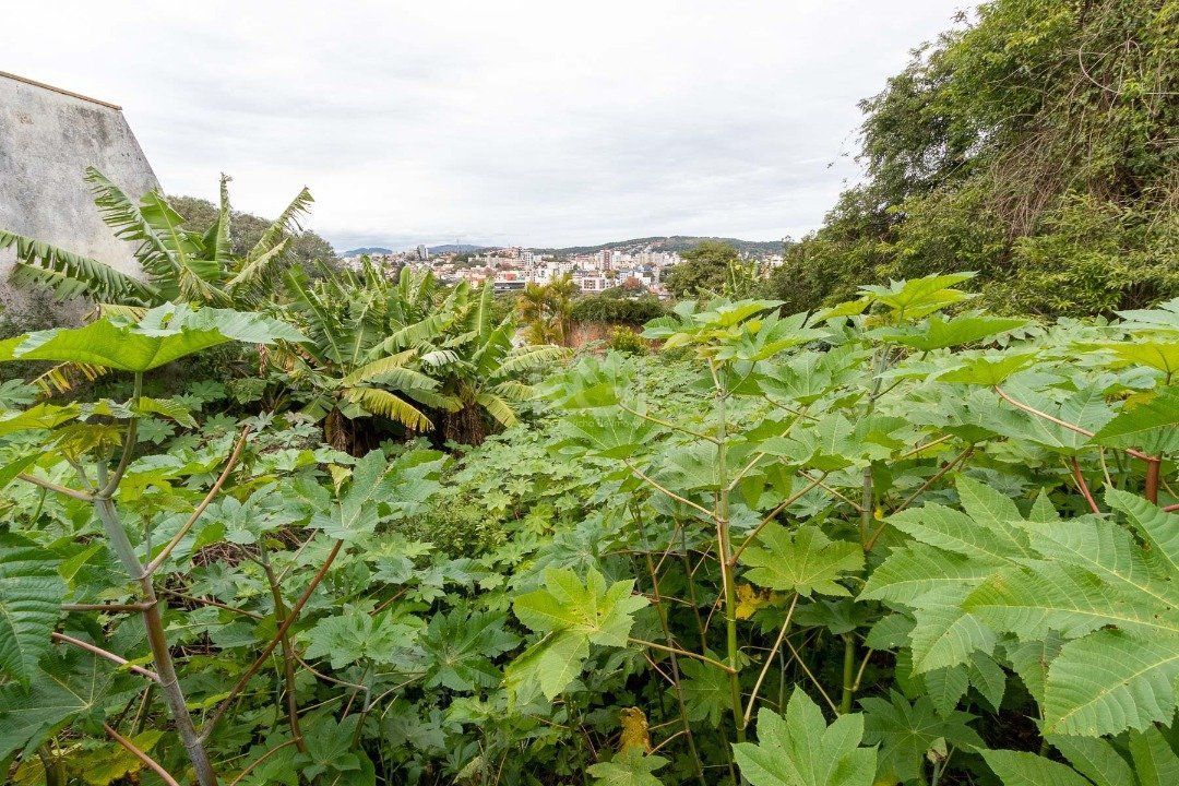 Terreno para Venda - 0m², 0 dormitórios, Vila Assunção — foto 5