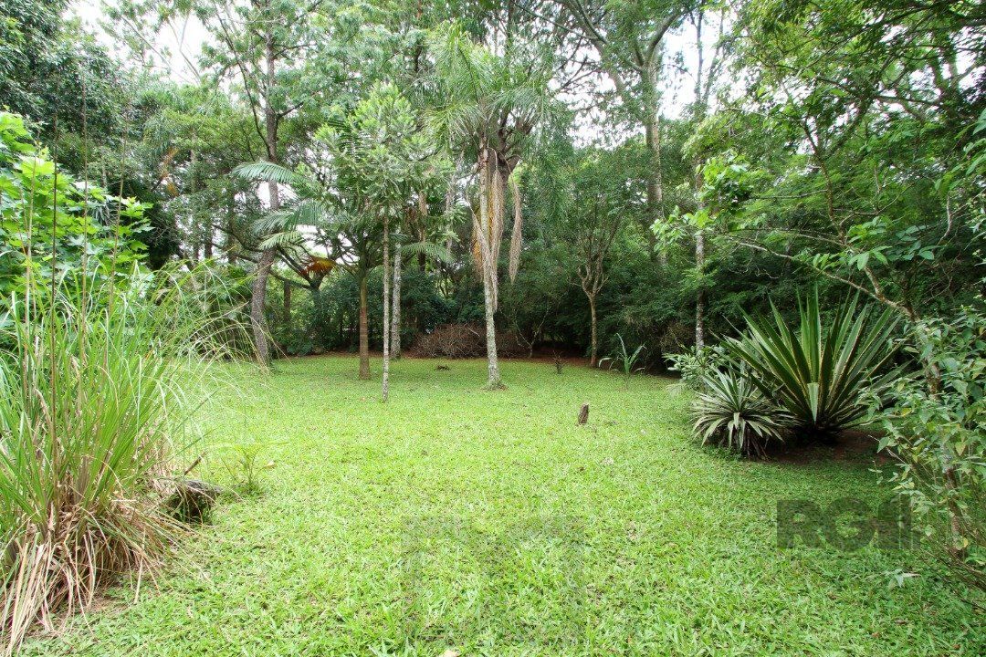 Sitio com casa com 3 quartos, suite, em terreno com 7.320m² - Belem Velho — foto 3