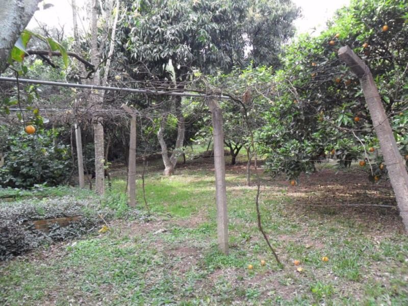 Casa para Venda - 290m², 3 dormitórios, sendo 1 suites, 3 vagas - Nonoai — foto 15