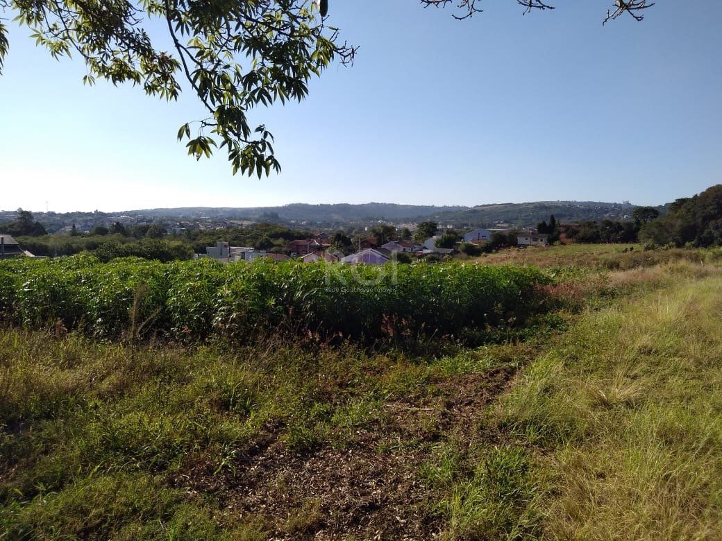 Area para Venda - 36.900m² - Campo Novo — foto 1