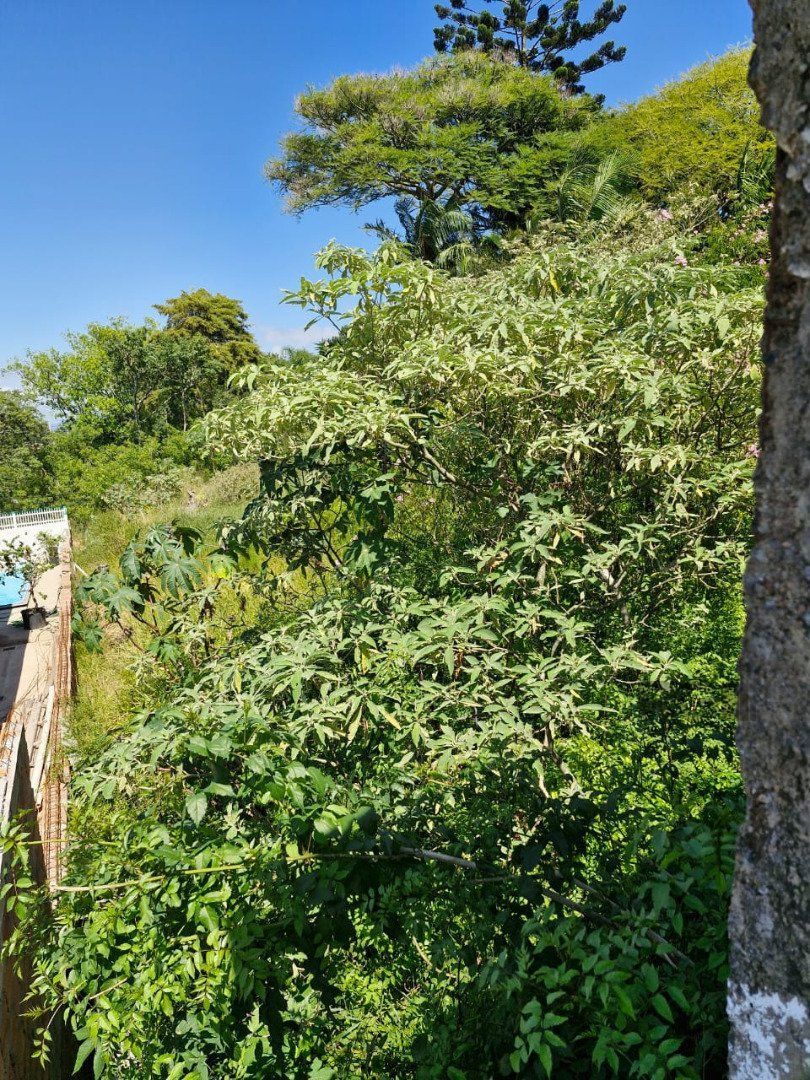 Terreno no bairro Belém Novo. — foto 3