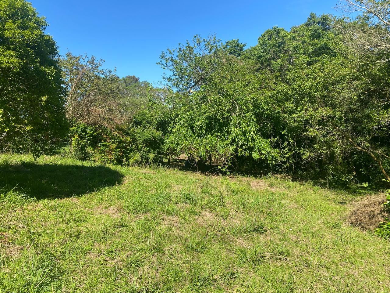 Excelente terreno! — foto 14