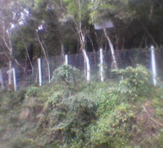 Terreno para Venda - 5100m², Ponta Grossa — foto 2